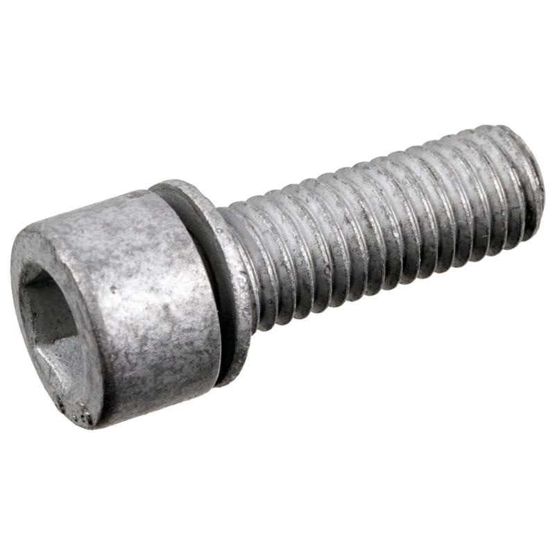 Oil Drain Plug