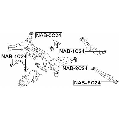 NAB-1C24