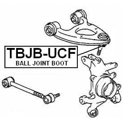 TBJB-UCF